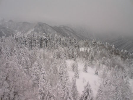 080103_1503~01.jpg