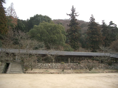 CIMG4376.JPG